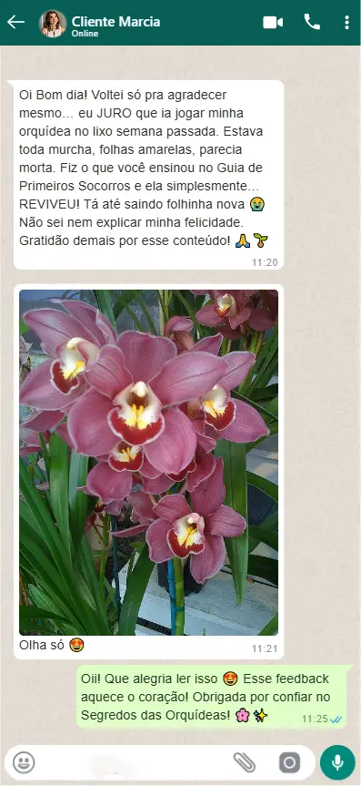 AnyConv.com__zeoob.com_1chcjyipyw_photo